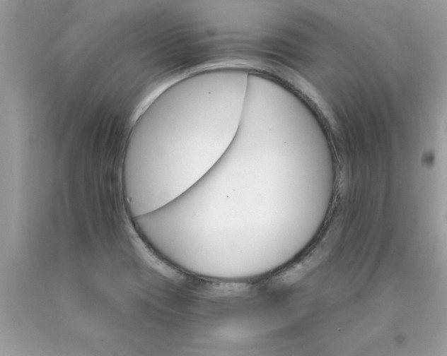 X0000090421417200707272101