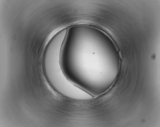 X0000090421418200707272101