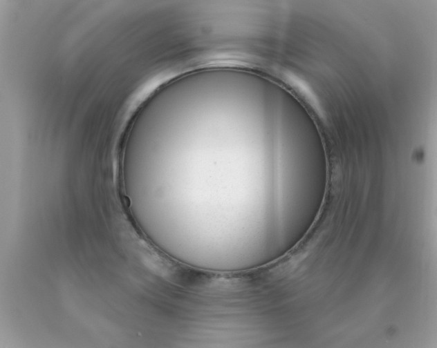 X0000090421419200707272101