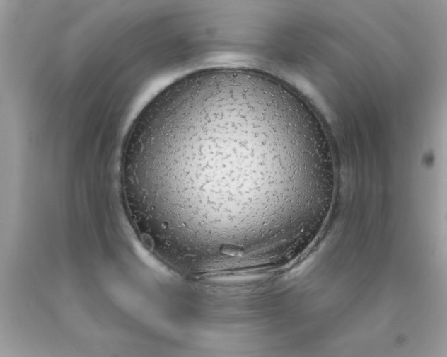 X0000090421421200707272101