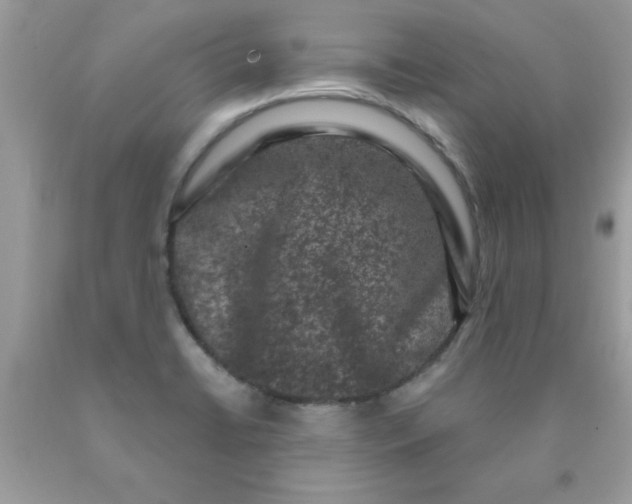 X0000090421422200707272101