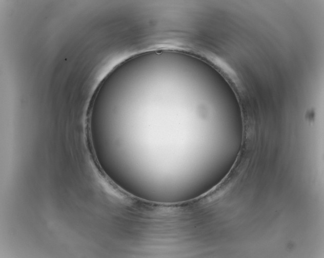 X0000090421423200707272101