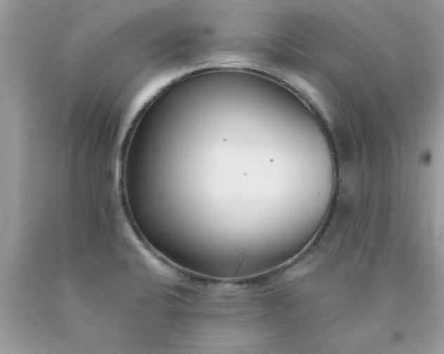 X0000090421424200707272101