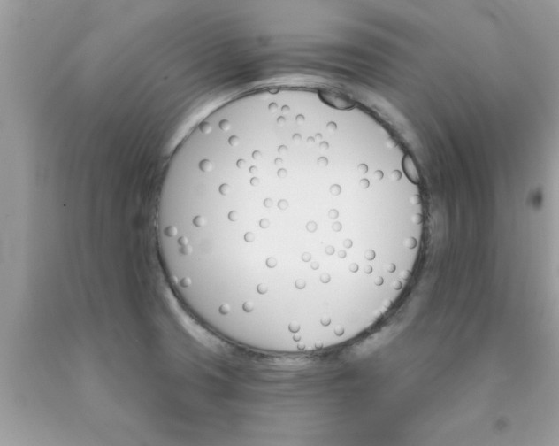 X0000090421425200707272101