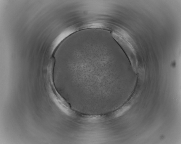 X0000090421426200707272101