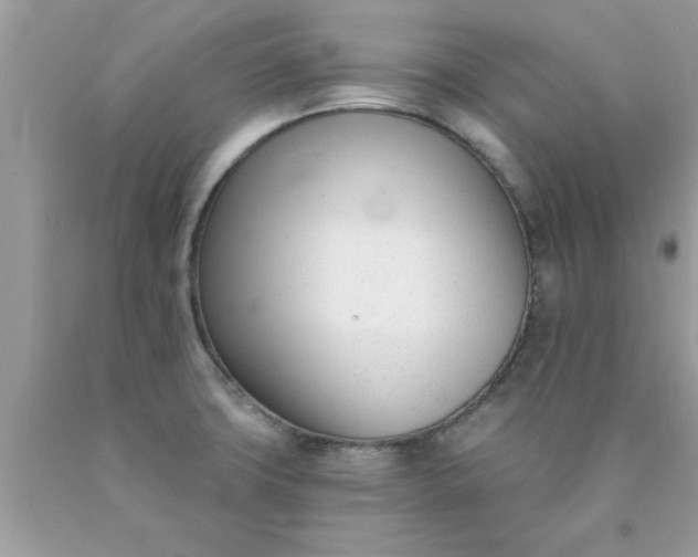 X0000090421427200707272101