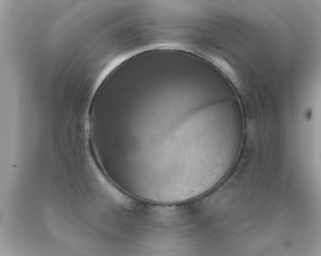 X0000090421428200707272101