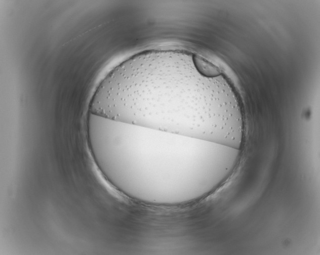 X0000090421429200707272101