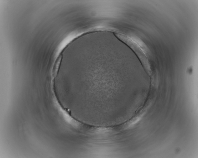 X0000090421430200707272101