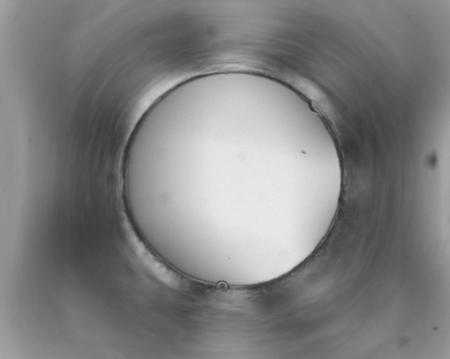 X0000090421431200707272101