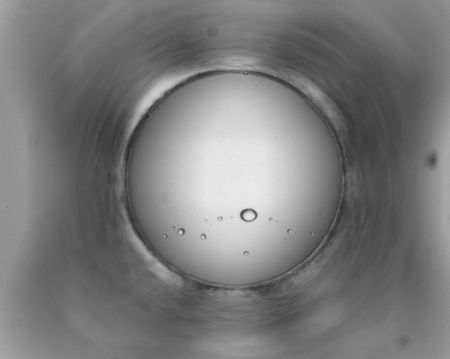 X0000090421432200707272101