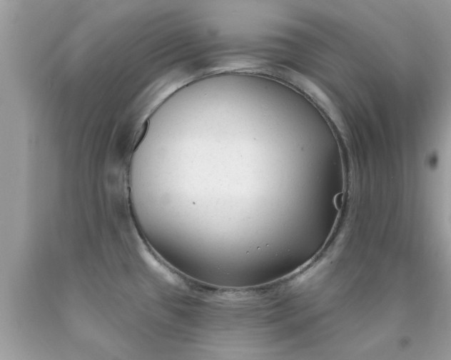 X0000090421433200707272101