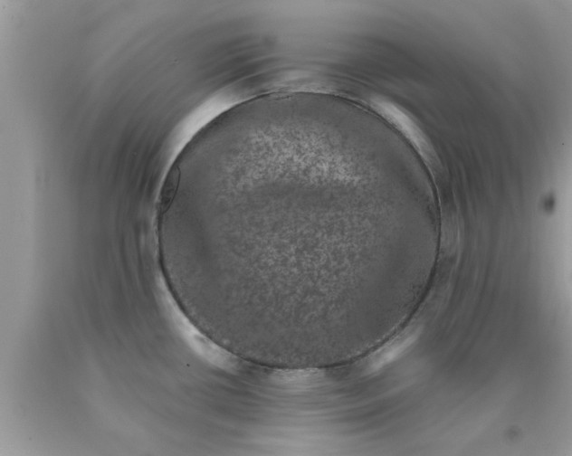 X0000090421434200707272101