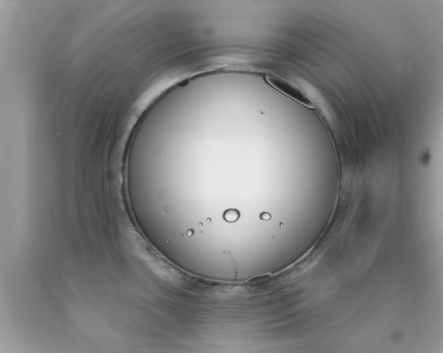 X0000090421435200707272101