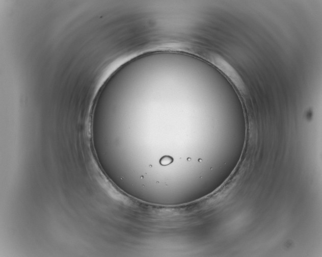 X0000090421436200707272101