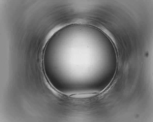 X0000090421437200707272101