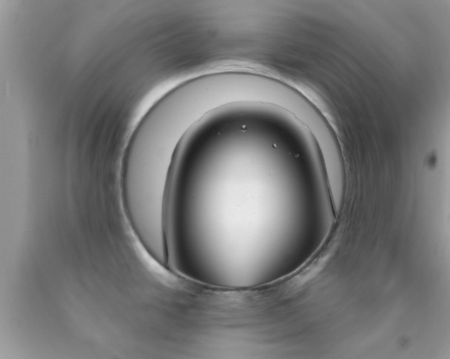 X0000090421438200707272101