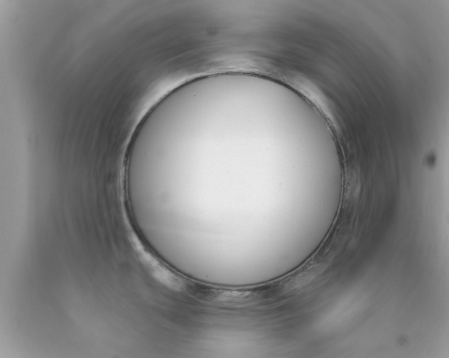 X0000090421439200707272101