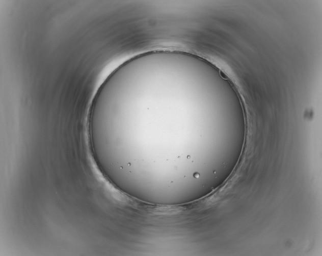 X0000090421440200707272101