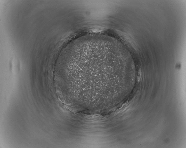 X0000090421441200707272100