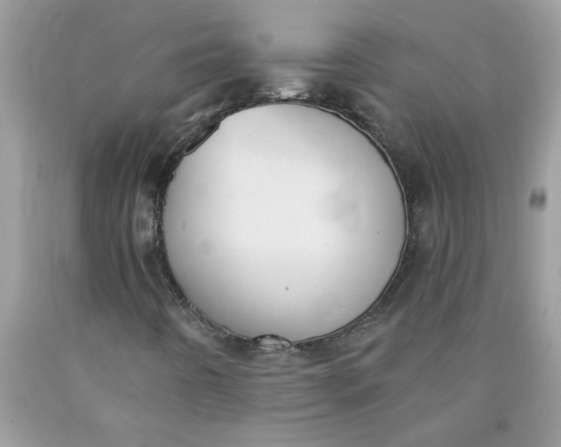 X0000090421442200707272100