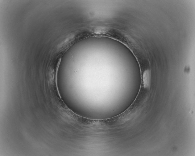 X0000090421443200707272100