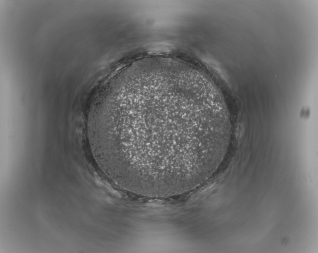 X0000090421445200707272100