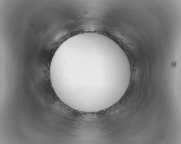 X0000090421446200707272100