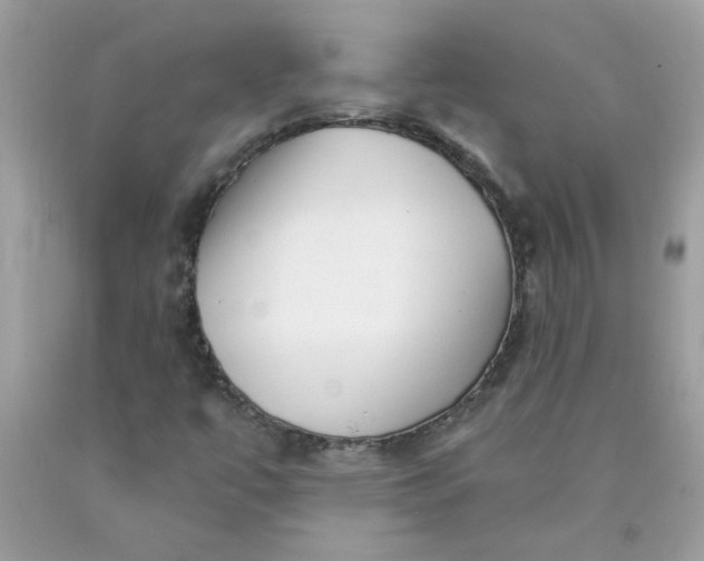 X0000090421447200707272100