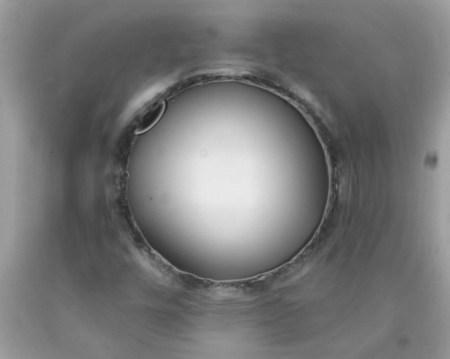 X0000090421448200707272100