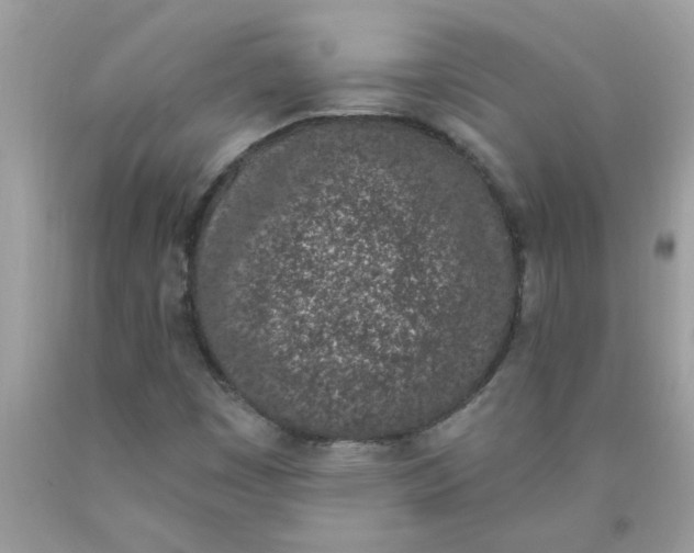 X0000090421449200707272100