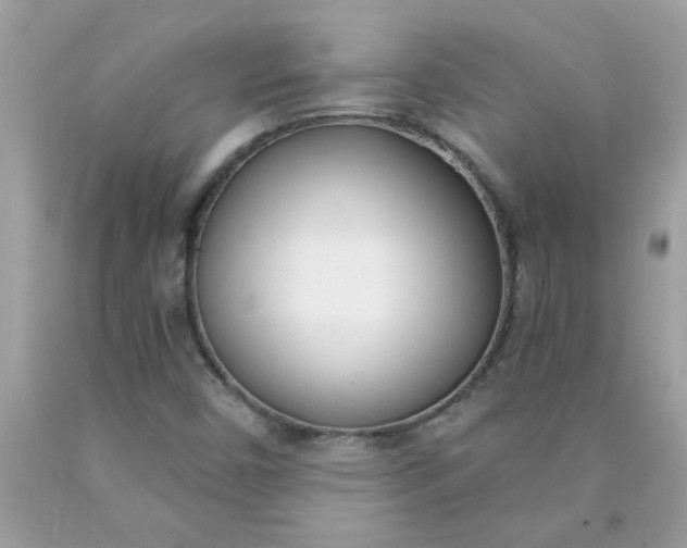 X0000090421450200707272100