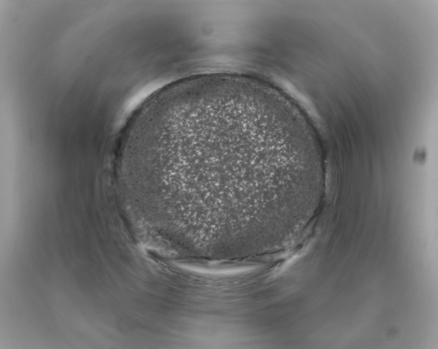 X0000090421453200707272100