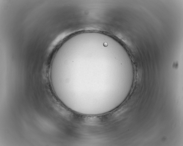 X0000090421454200707272100