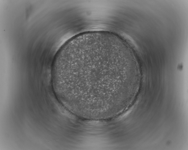 X0000090421457200707272100