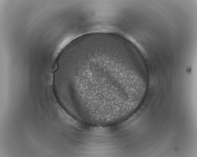 X0000090421459200707272100