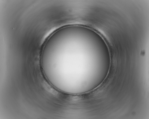 X0000090421460200707272100