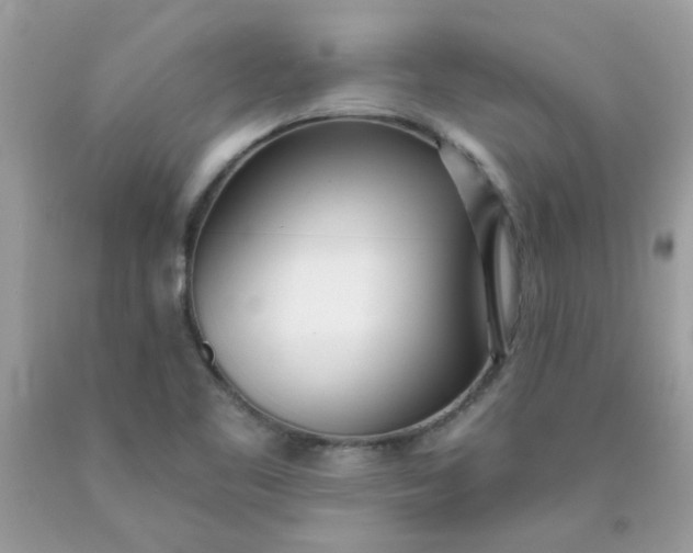 X0000090421461200707272100