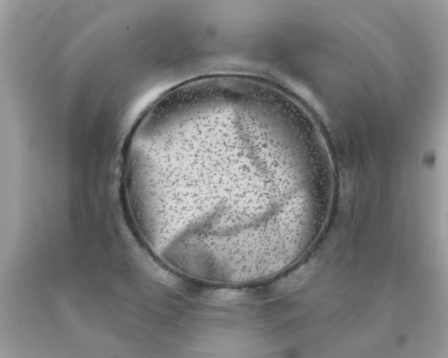 X0000090421463200707272100