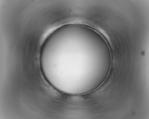 X0000090421464200707272100