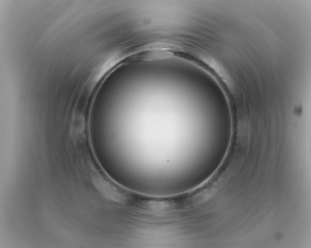 X0000090421465200707272100