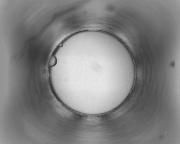 X0000090421466200707272100