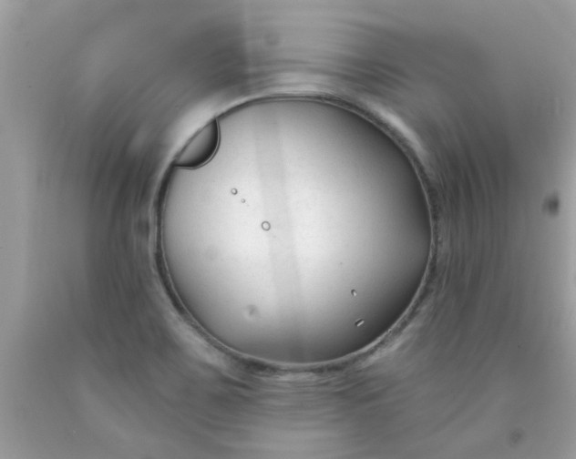 X0000090421467200707272100