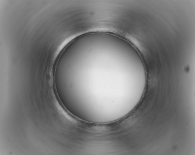 X0000090421468200707272100