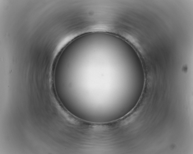 X0000090421469200707272100