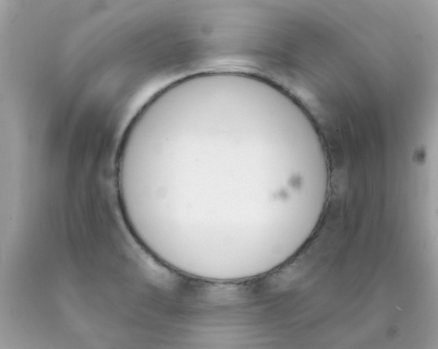 X0000090421470200707272100