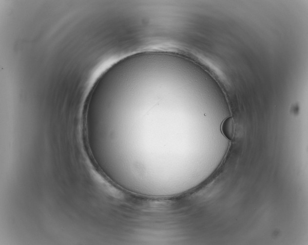 X0000090421471200707272100