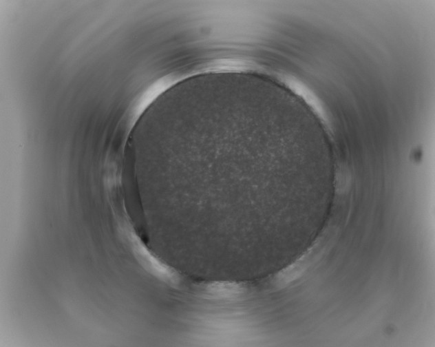 X0000090421473200707272100