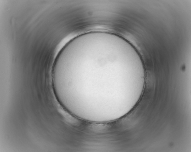 X0000090421474200707272100