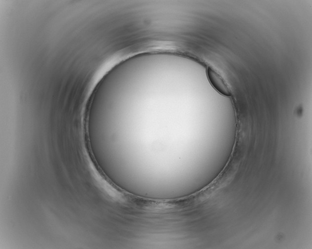 X0000090421475200707272100